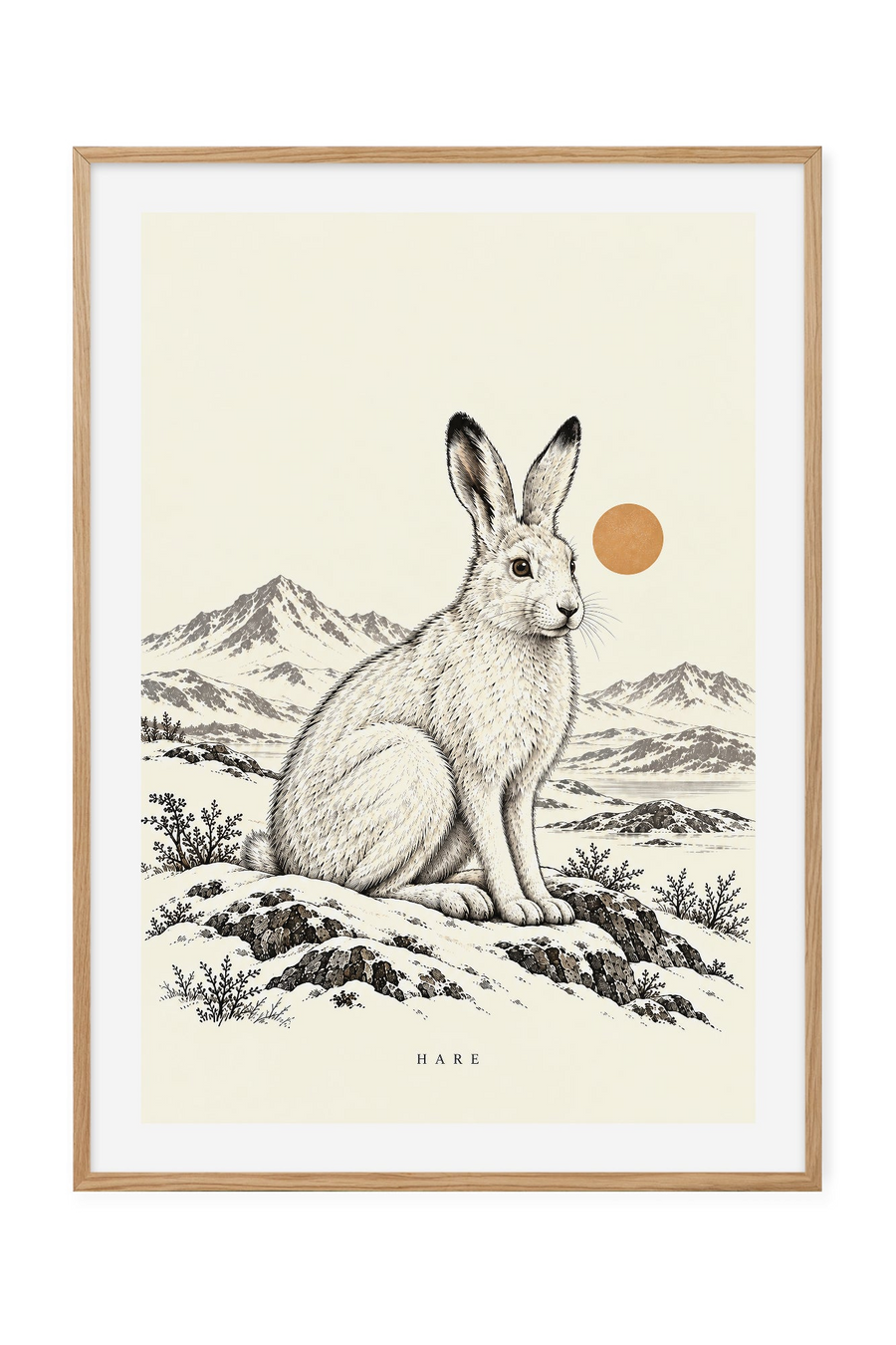 Hare – Stille vinterfjell