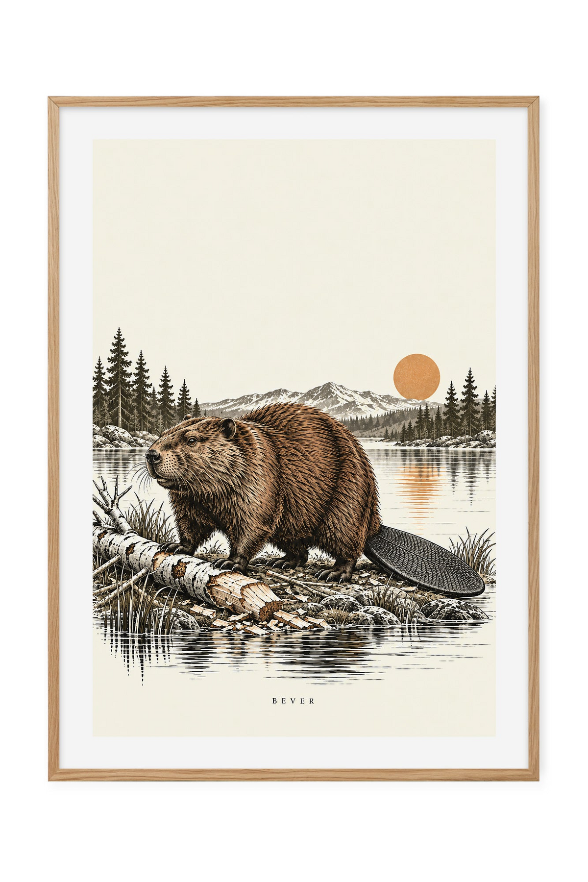 Bever – Ved bjørkestammen
