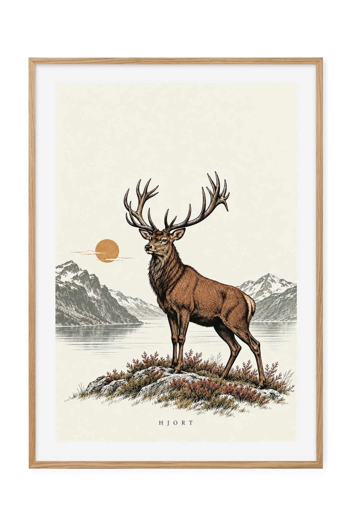 Hjort – Over fjord og fjell
