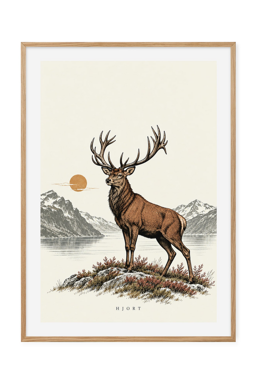Hjort – Over fjord og fjell